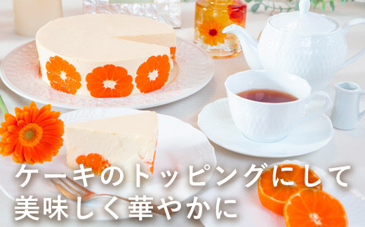 誰からも好まれるおいしいみかん
ケーキやデザートのトッピングにして華やかに。