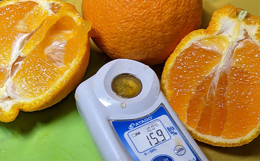 種がなく、ジョウノウ袋も薄いため食べやすい、
その上果皮も丸ごと食べることができます。