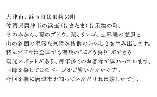 たくさんの優良品種がある阿徳ぶどう園の巨峰。
1度食べてしまったら、忘れることの出来ない、そんなぶどうです。