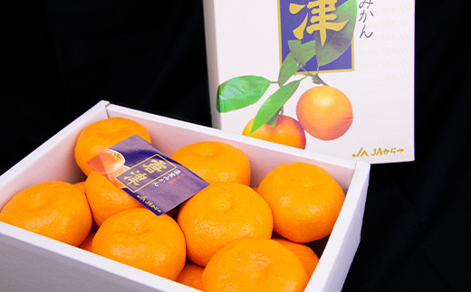 露地みかんとは違う酸味を抑えられた甘味が際立った濃厚な味。