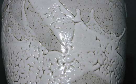 かいらぎ
名前の由来は、刀の鞘に用いられる鮫皮の一種を、本来梅花皮と呼び、
粒状の表面が似ているところからの呼び名といわれる