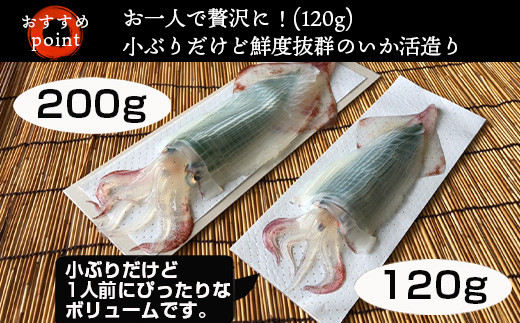 小ぶりだけど1人前にぴったりなボリュームです。