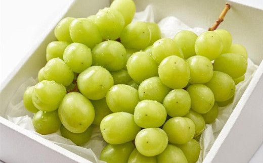 大容量！2kgございますので、ご家族皆さまでお召し上がりいただけます。