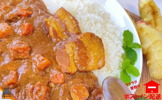 本格的なスパイシーカレーです。辛さが苦手な方や、お子様は少しご注意ください。