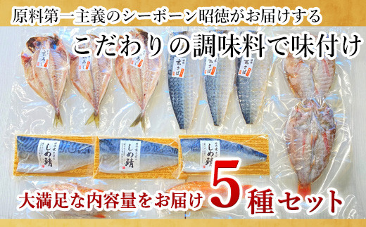 大満足な内容量5種セット！