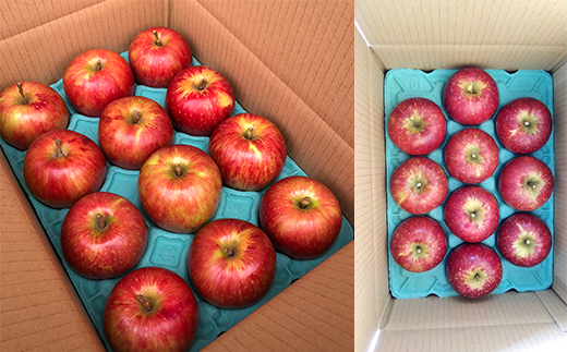 一つ、一つ大切に収穫、梱包し皆さまへお届けいたします。ぜひご賞味くださいませ。