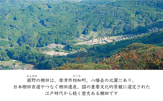 籾のまま低温保存し、10日に1回ほど精米しますので、
1年中新鮮な味わいをご賞味いただけるかと思います。