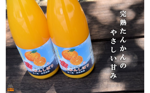 徳之島のたんかんは温暖な気候で育ち、とっても甘くて美味しいですよ。