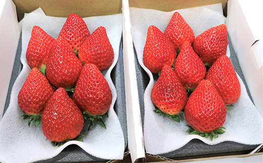 産地直送・クール便の活用をお約束しており、新鮮な状態でお届けします。