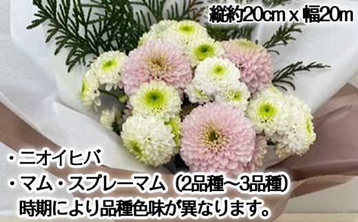 ・マム・スプレーマム(2品種～3品種)
　時期により品種色味が異なります。
・ニオイヒバ