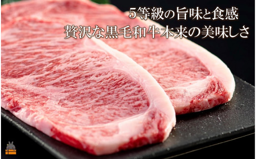 5等級の旨みと食感。贅沢な徳之島生まれ鹿児島黒毛和牛をご堪能下さい。