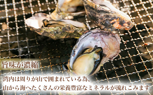 「旨味が濃縮」
湾内は周りが山で囲まれている為、
山から海へたくさんの栄養豊富なミネラルが流れこみます。