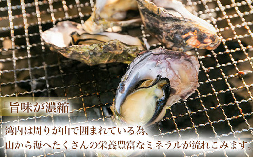 「旨味が濃縮」
湾内は周りが山で囲まれている為、
山から海へたくさんの栄養豊富なミネラルが流れこみます。