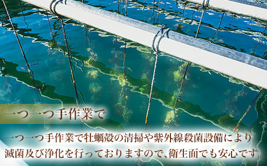 「一つ一つ手作業で」
牡蠣殻の清掃や紫外線殺菌設備により
滅菌及び浄化を行っておりますので、衛生面でも安心です。