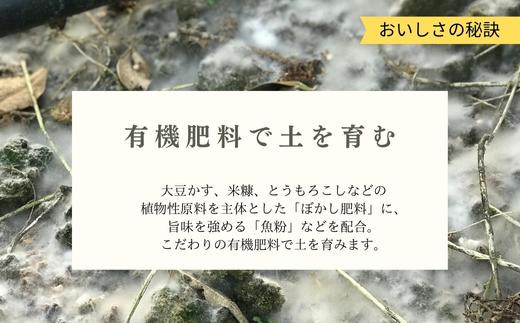 こだわりの有機肥料で土づくりを行っており、みかんの木は土からの
栄養をしっかり吸い上げ、沢山光合成をして美味しい果実を育みます