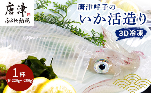 唐津呼子 いか活造り 3Dフリーザーで急速冷凍し、
真空パック。 採れたての新鮮な旨さを閉じ込めました。