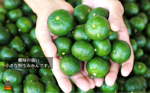 酸味が強く、体が喜ぶ栄養素が含まれたスーパーフードです。