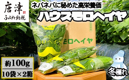 冬穫れハウスモロヘイヤ 100g×10袋×2箱をお届けいたします。