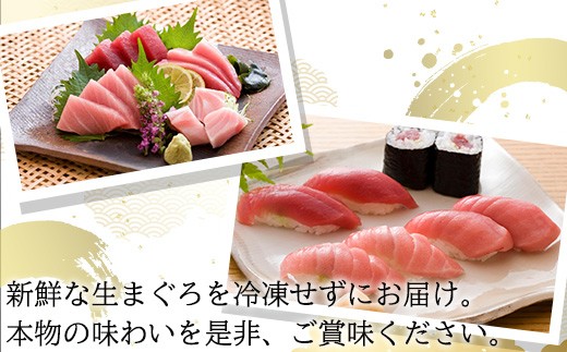 新鮮な生まぐろを冷凍せずにお届け。
本物の味わいを是非、ご賞味ください。