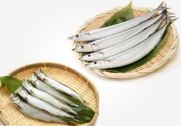 セット】【辻精磁社】有田焼／染付 栗鼠葡萄文 形変皿と珍味入 - 佐賀