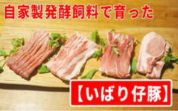 感想一覧: 数量限定 発酵飼料で育つ！日本で一番旨い豚肉と威張る
