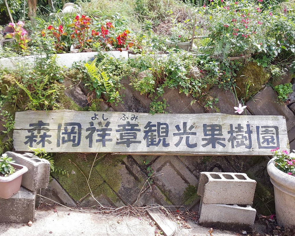 ご協力:森岡祥章観光農園さん