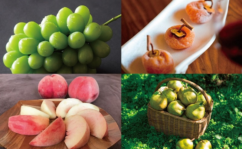 こちらをクリックすると特集記事へジャンプ