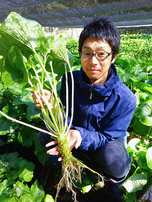 西伊豆山葵生産組合