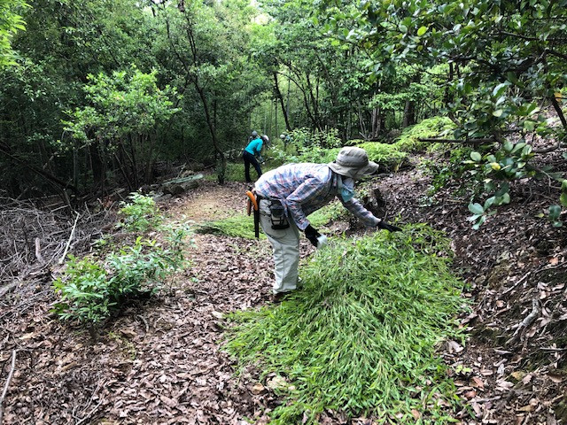 株式会社アドプランツコーポレーション