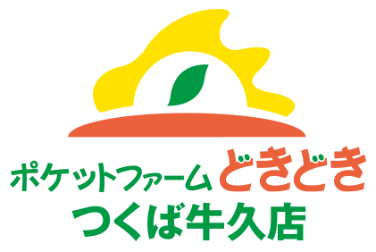 提供：ポケットファームどきどきつくば牛久店
　　（全国農業協同組合連合会　茨城県本部）
