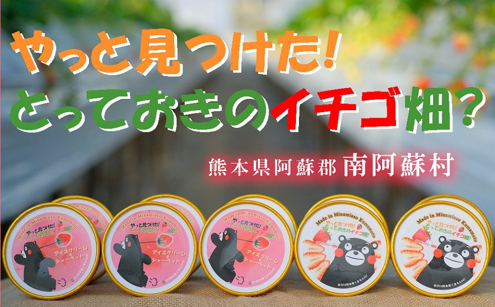 南阿蘇村のいちご農園「やっと見つけた!とっておきのイチゴ畑?」