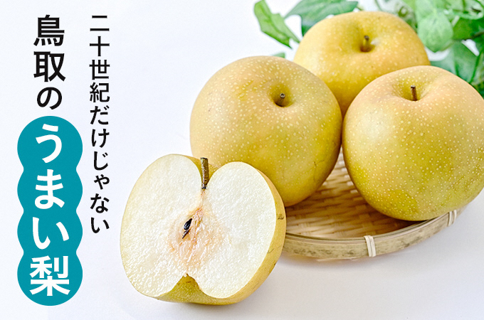 こちらをクリックすると特集記事へジャンプ