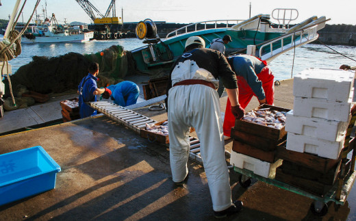 「良い干物は良い原料から」がモットー