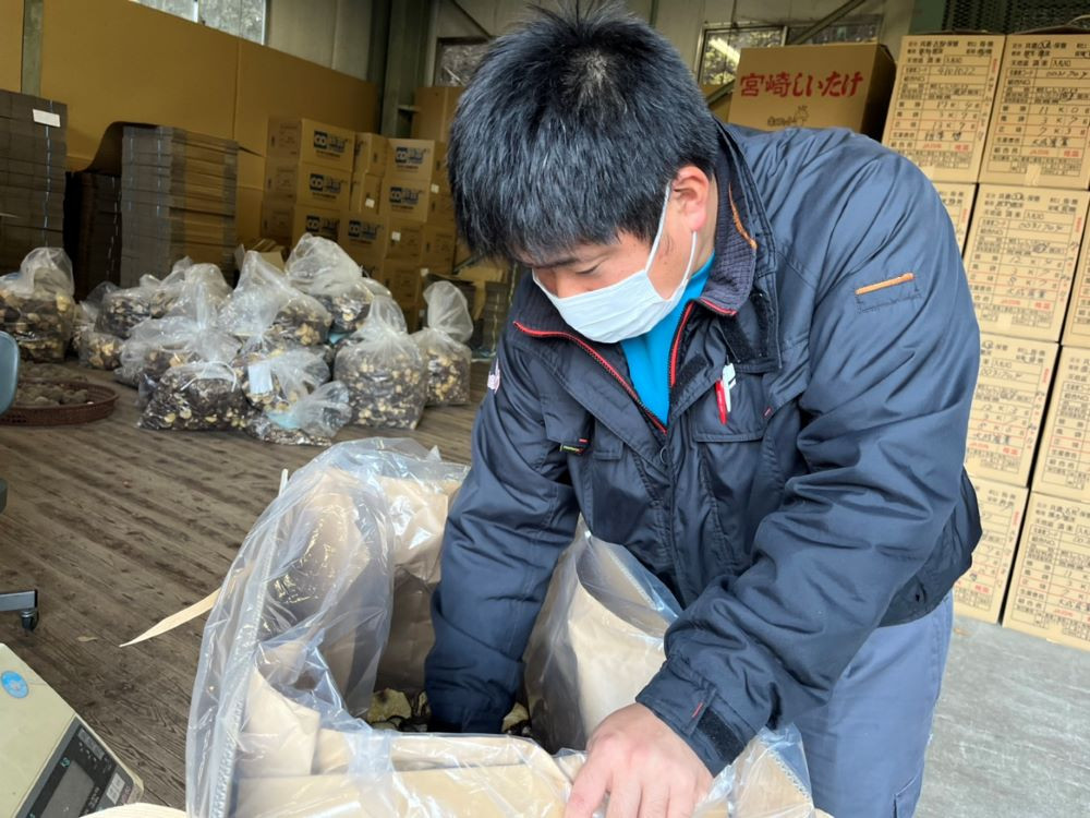 椎葉の基幹作物である美味しい椎茸を、心を込めて全国の皆様へお届けします!