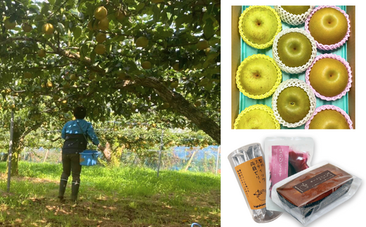 収穫中の千葉さんと鮮やかな梨、加工品の数々