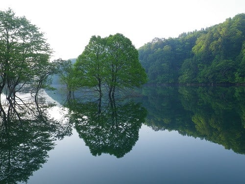 ＜＜私たちの西和賀町＞＞