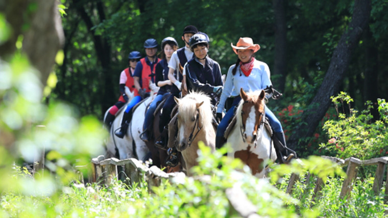 【お礼の品に対する想い】