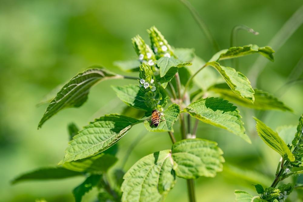 嬉しい声をたくさん頂いています