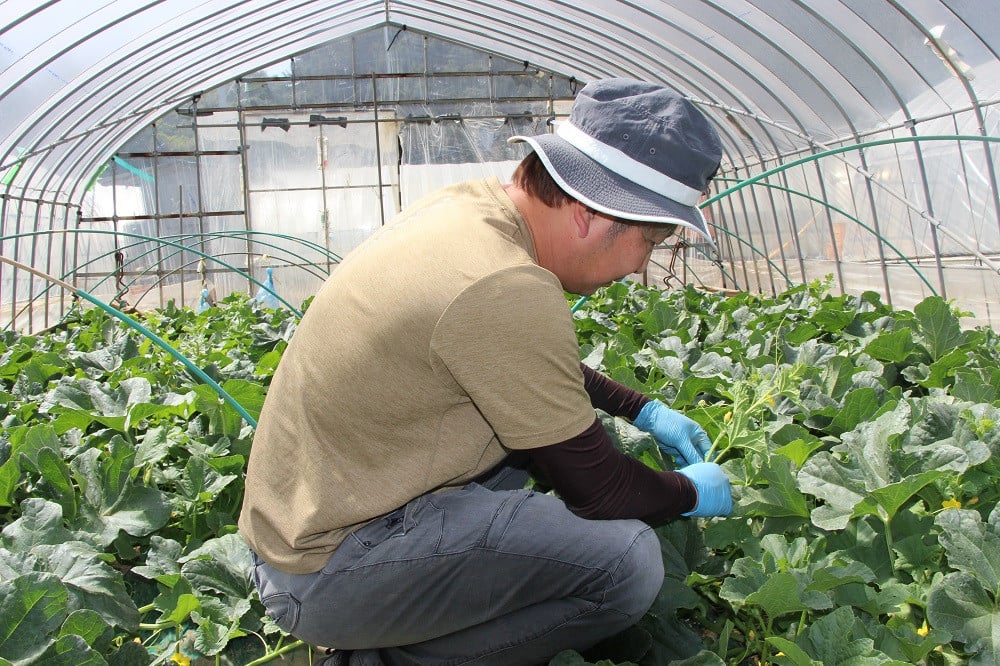 「美味しかった」の言葉が嬉くて励みになります
