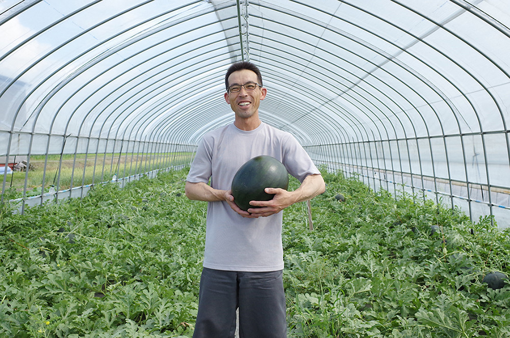 培った技術で最高のすいかを栽培しています