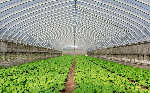 株式会社農都の挑戦は続きます。