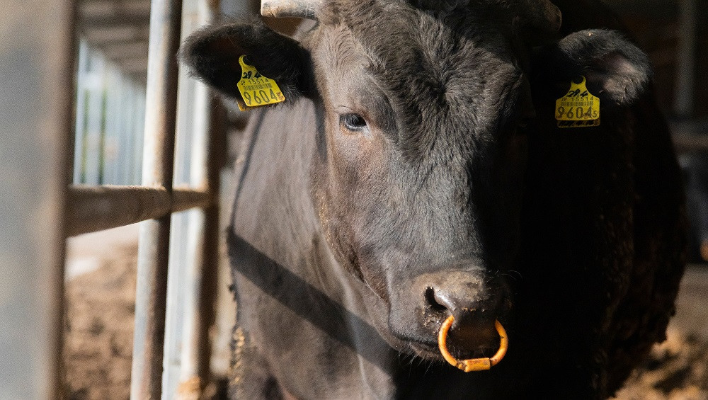 飽くなき質の追及