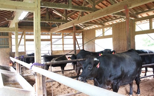 農場HACCPを取得しています。