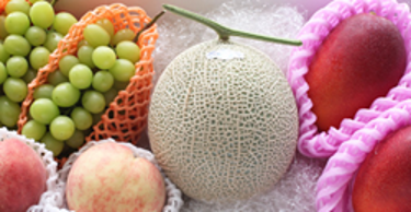 果実の王様 メロン!