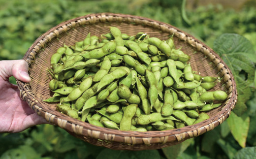 コクと旨味が凝縮された濃厚風味。