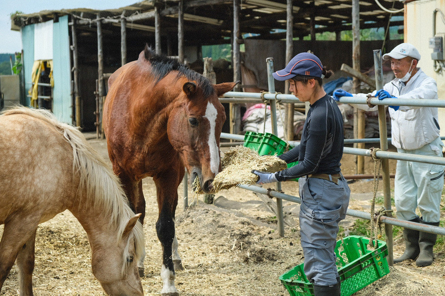 皆さまからの寄付が想いとなり、動物たちの命を紡いでいきます