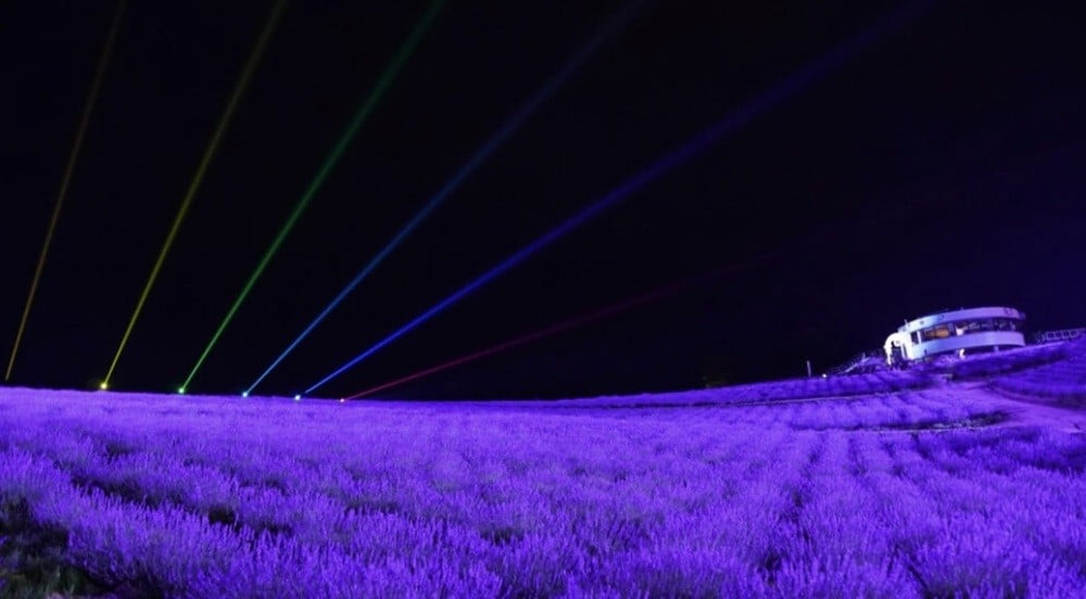 日の出公園ラベンダーライトアップ