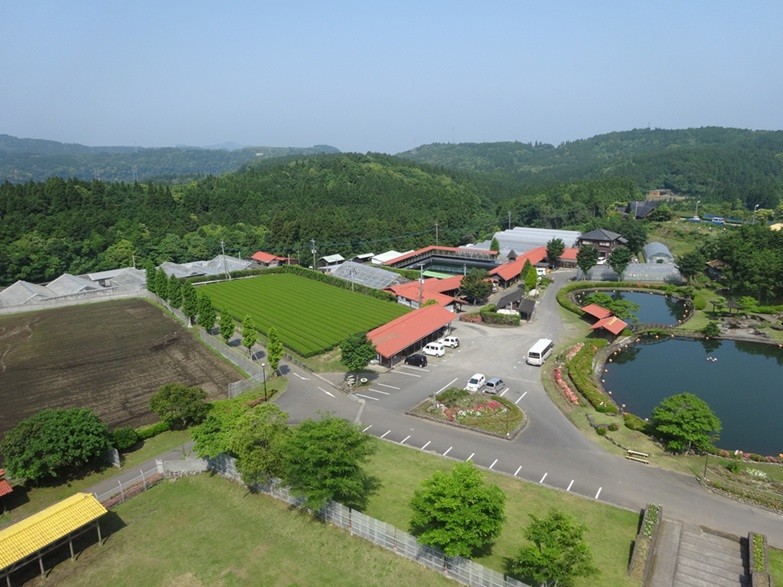 【農福連携】農業と福祉それぞれの強みと課題を補完しあって価値を生み出す取り組み