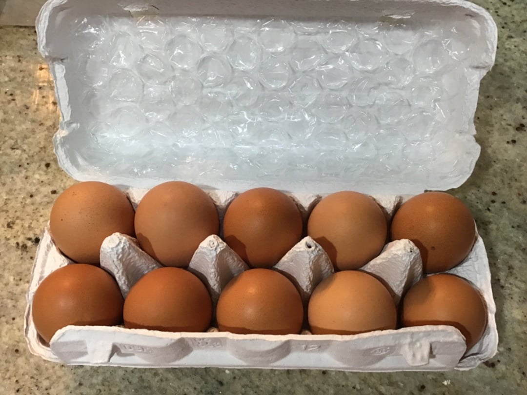 ふるさと納税 甲州放牧卵の定期便 18個×10回　F-503 山梨県甲州市