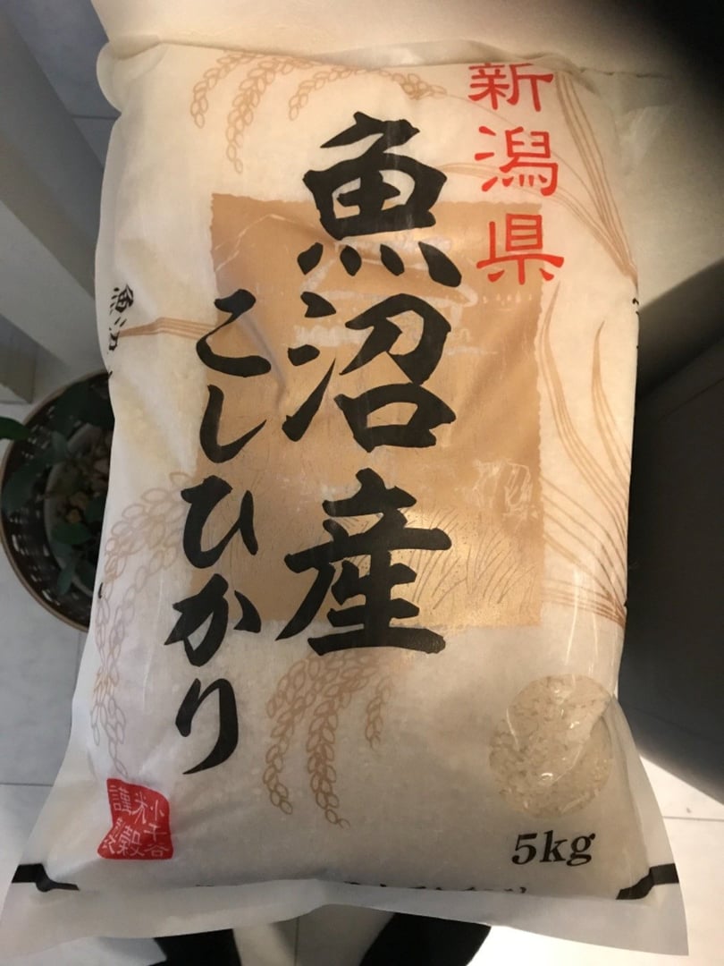 魚沼産コシヒカリ定期便 5kg 12回 毎月お届け 小千谷米穀 新潟県小千谷市 ふるさと納税 ふるさとチョイス